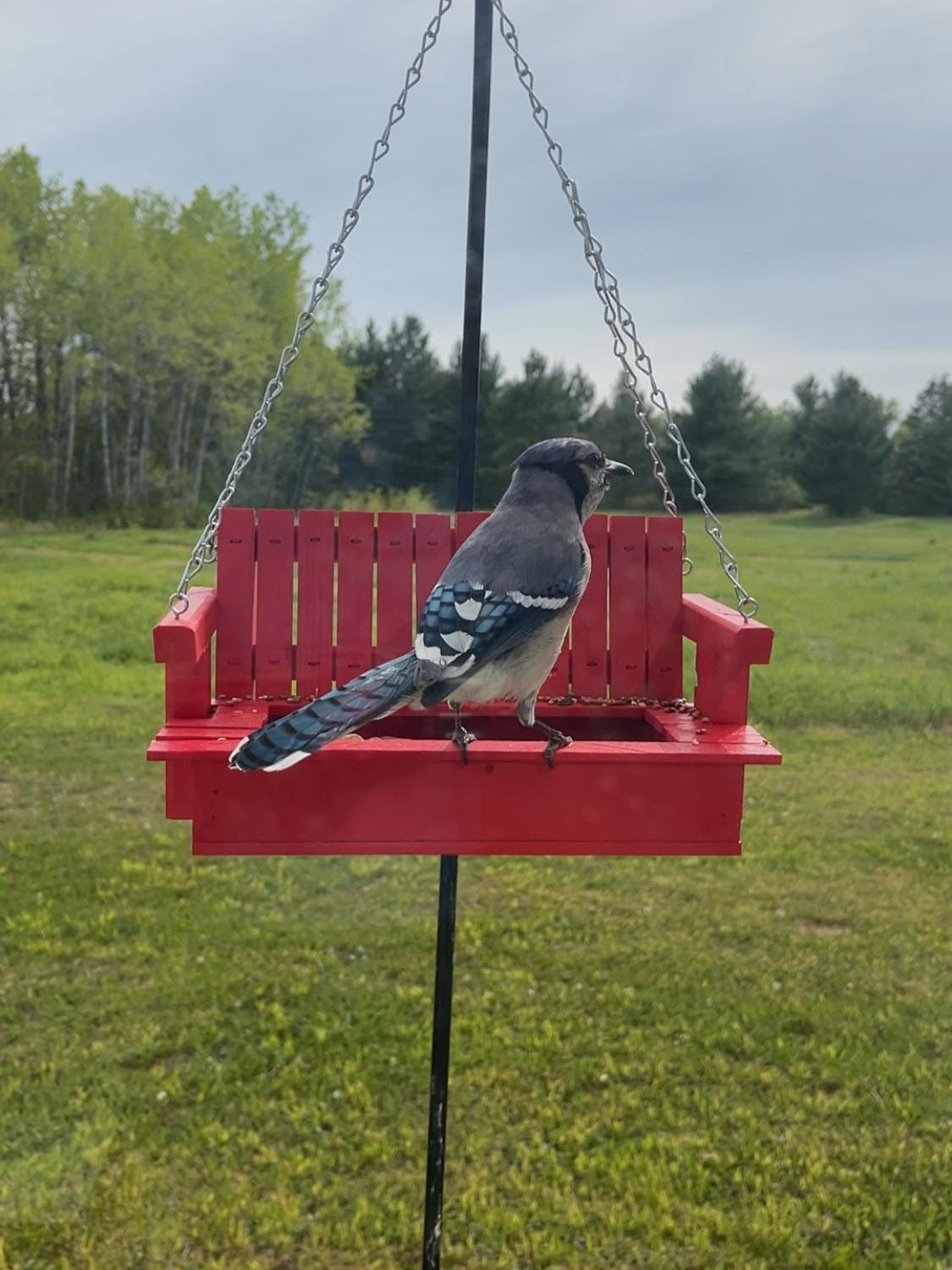 A blue jay perched on a cardinal red porch-swing feeder.